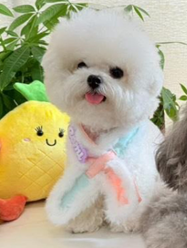 BUNDLE SET of Harness Top + 1 Oriental Skirt + 1 Scarf - Pink